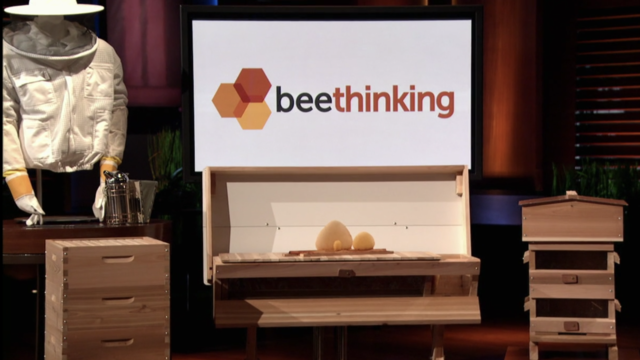 Bee Thinking Shark Tank